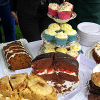 Cakes_square