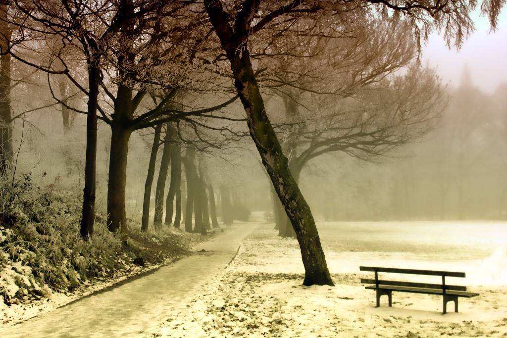 winter-843305_1920