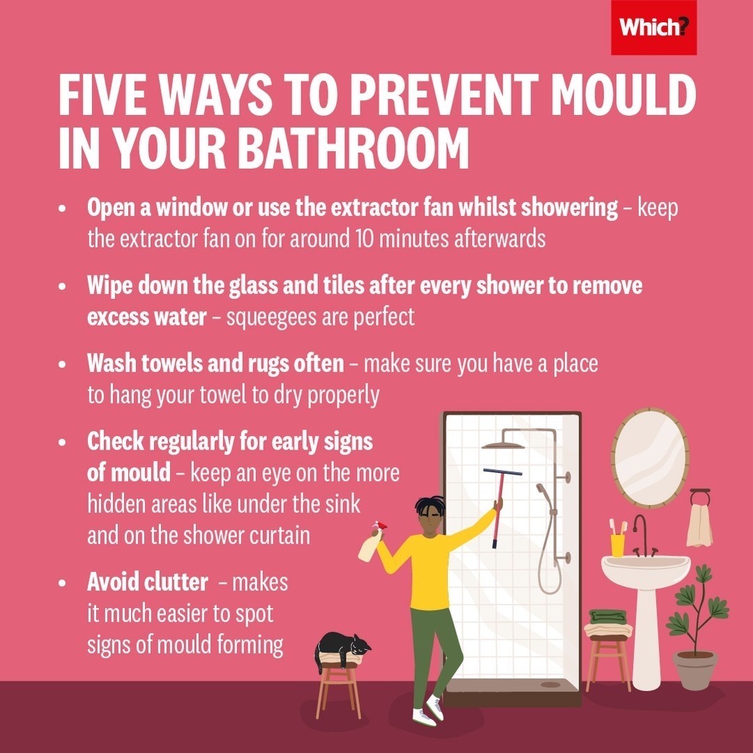 Damp advice